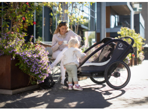 Dětský vozík HAMAX Cocoon ONE Grey/Black