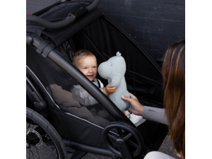 Dětský vozík THULE Thule Chariot Sport 2 Double Black