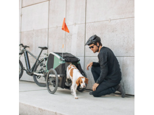 Vozík pro psy THULE Bexey M Hazy Green