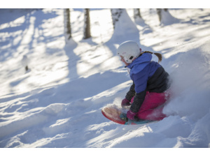 HAMAX Free Surfer Green/Black