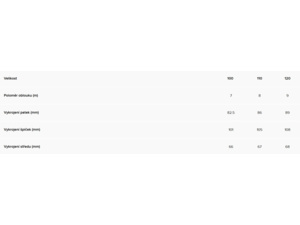 Lyže ATOMIC REDSTER J2 100-120 Red Tension/Black