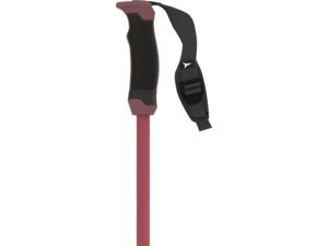 Hole ATOMIC AMT CARBON SQS W Maroon