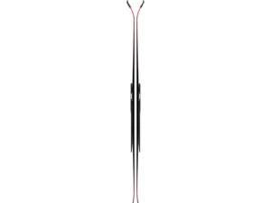 Lyže ATOMIC REDSTER S9 FIS J-RP³ Red Tension