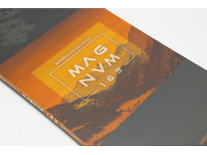 Snowboard NITRO MAGNUM