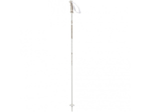 Hole SALOMON POLES ARCTIC LADY