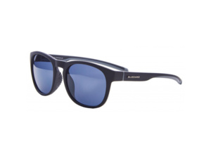 Brýle BLIZZARD Sun glasses POLSF706110, rubber black