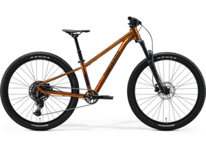 MERIDA Matts J.Champion Wild Honey (Black)