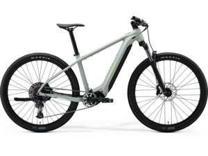 MERIDA eBig.Nine 675 Matt Early Moss Grey (Green)