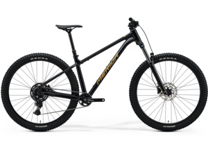 MERIDA Big.Trail 300 Black (Brown)