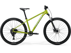 MERIDA Big.Nine 20 Fall Green (Silvergreen)