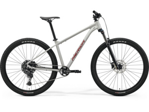 MERIDA Big.Nine 200 Matt Grey (Glitter Cherry)