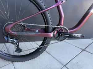 PELLS Duke FS 2 Eggplant - L