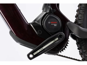 HAIBIKE AllMtn CF 9 Black/Platinum Glossy