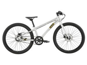 BREEZER Beltway 24 Silver