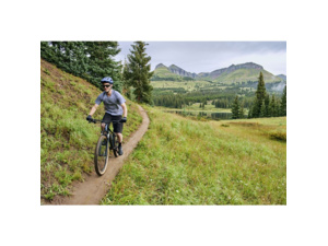 GIANT Talon 29 0 Ultra Navy