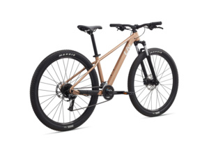 LIV Tempt 29 3 Golden Wheat - M