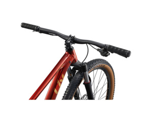 LIV Tempt 29 2 Mars Dust - L