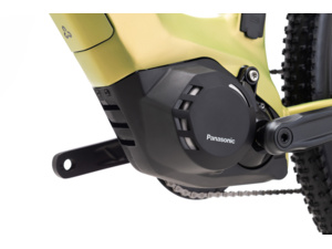 CTM Roxxy GX Matt Gold