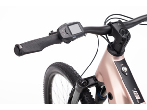 CTM Ruby GX Pro 29 Old Pink