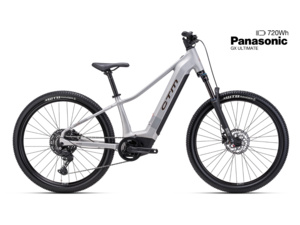 CTM Ruby GX Pro 27,5 Matt Silver