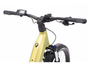 CTM Roxxy GX E-Allroad Matt Gold