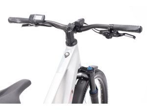 CTM Ruby GX Pro 29 E-Allroad Matt Silver