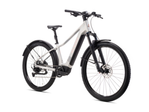 CTM Ruby GX Pro 29 E-Allroad Matt Silver