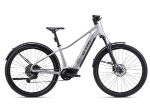 CTM Ruby GX Pro 29 E-Allroad Matt Silver
