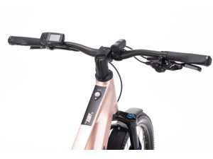 CTM Ruby GX Pro 27,5 E-Allroad Matt Old Pink