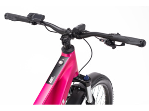 CTM Ruby GX 29 E-Allroad Matt Pink
