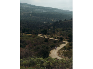 LOOK G85 Petrol/White Shimano GRX 1X12 Fulcrum Lite GR